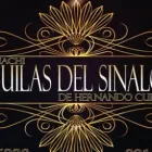 La imagen 1 de la Empresa MARIACHI AGUILAS DEL SINALOA Músico en Tunja BOY
