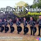 La imagen 3 de la Empresa MARIACHI AGUILAS DEL SINALOA Músico en Tunja BOY