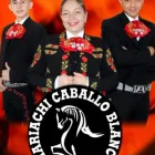 La imagen 1 de la Empresa MARIACHIS PEREIRA CABALLO BLANCO Tienda de música en Pereira RIS