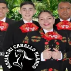 La imagen 5 de la Empresa MARIACHIS PEREIRA CABALLO BLANCO Tienda de música en Pereira RIS
