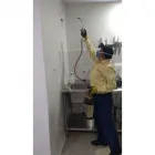 La imagen 1 de la Empresa MASTER PLAGAS S.A.S Servicio de control de plagas en Medellín ANT