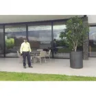 La imagen 3 de la Empresa MASTER PLAGAS S.A.S Servicio de control de plagas en Medellín ANT