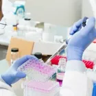 La imagen 2 de la Empresa MAURICIO GONZÁLEZ URREA Médico en Pereira RIS