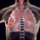 La imagen 3 de la Empresa MAURICIO GONZÁLEZ URREA Médico en Pereira RIS