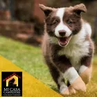 La imagen 1 de la Empresa MI CASA CAMPESTRE Tienda para mascotas en Pereira RIS