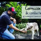 La imagen 2 de la Empresa MI CASA CAMPESTRE Tienda para mascotas en Pereira RIS