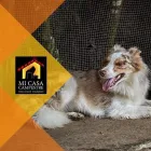 La imagen 4 de la Empresa MI CASA CAMPESTRE Tienda para mascotas en Pereira RIS