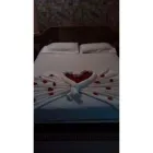 La imagen 4 de la Empresa MOTEL CASTILLO Motel en Pereira RIS