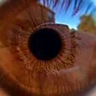 La imagen 3 de la Empresa NOVA OPTICAS Optometría en Bogotá CUN