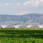La imagen 5 de la Empresa O.R. DIAZ PLÁSTICOS E INVERNADEROS E.U Viveros en Cali VAC