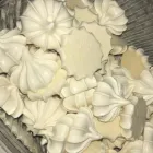 La imagen 8 de la Empresa PANELITAS MI FORTUNA Y DULCES DE LA INFANCIA Tienda de postres en Medellín ANT