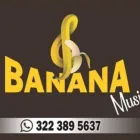La imagen 5 de la Empresa PAPAYERA CHIRIMIA BANANA MUSICAL Tienda de música en Pereira RIS