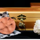 La imagen 2 de la Empresa PARAÍSO DE MASCOTAS Cementerio de mascotas en Pereira RIS