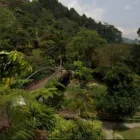 La imagen 2 de la Empresa PARQUE ECOTURISTICO EL SALADO Parque nacional en Envigado ANT