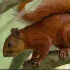 La imagen 3 de la Empresa PARQUE ECOTURISTICO EL SALADO Parque nacional en Envigado ANT