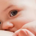 La imagen 3 de la Empresa PEDIANUT - NUTRICIÓN CLÍNICA PEDIÁTRICA DR. JORGE ELIÉCER BOTERO LÓPEZ Pediatra en Medellín ANT