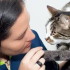 La imagen 1 de la Empresa PELOS Y GATOS Veterinario en Pereira RIS