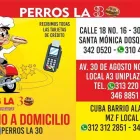 La imagen 4 de la Empresa PERROS LA 30 Restaurante de comida rápida en Dosquebradas RIS