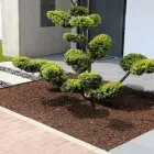 La imagen 1 de la Empresa PIEDRAS Y ARTE DONDE ALEX S.A.S Proveedor de piedra y arena en Bogotá CUN