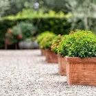 La imagen 3 de la Empresa PIEDRAS Y ARTE DONDE ALEX S.A.S Proveedor de piedra y arena en Bogotá CUN