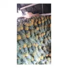 La imagen 1 de la Empresa PIÑAS SONDRA Tienda de alimentos naturales en Bogotá CUN