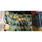La imagen 4 de la Empresa PIÑAS SONDRA Tienda de alimentos naturales en Bogotá CUN