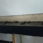 La imagen 3 de la Empresa PISOS Y ENCHAPES ACABADOS EN GENERAL. Proveedor de materiales de construcción en Bogotá DC