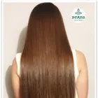 La imagen 1 de la Empresa PRANA SALON DE BELLEZA Tienda de suministros para la belleza en Bogotá, D.c. DC
