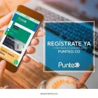 La imagen 1 de la Empresa PUNTEO ONLINE Tienda para mascotas en Bogotá CUN
