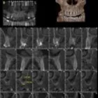 La imagen 3 de la Empresa RADIOLOGIA ORAL CRA SAS Radiología en Bogotá DC