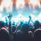 La imagen 3 de la Empresa RAMIREZ M. FERNANDO Y SU TRIO MAGISTRAL Tienda de música en Pereira RIS