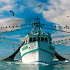 La imagen 5 de la Empresa REDEPESCA Tienda de artículos de pesca en Medellín ANT