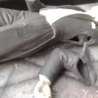 La imagen 3 de la Empresa RESTAURACIÓN DE PORCELANAS CAOLIN Tienda de pinturas en Cali VAC