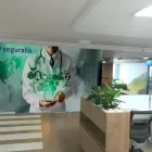 La imagen 1 de la Empresa SEGURALIA TUNJA - MEDICINA PREPAGADA Y SEGUROS DE SALUD Agencia de seguros de salud en Tunja BOY