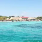 La imagen 2 de la Empresa SERVIUNIDAS Servicios de carga en Medellín ANT