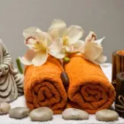 La imagen 1 de la Empresa SPA MOVIL Spa en Bogotá DC