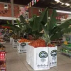 La imagen 2 de la Empresa SUPERMERCADO SURTIFAMILIAR PEREIRA Tienda de suministros para mascotas en Pereira RIS