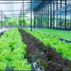 La imagen 2 de la Empresa SUPERTIENDA AGROPECUARIA PALCAMPO S A S Planta de productos químicos en Apartadó ANT