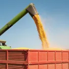 La imagen 1 de la Empresa TRANSCARGO S.A.S. Servicios de carga en Cali VAC