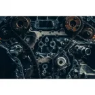 La imagen 1 de la Empresa TRANSMYRESPUESTOS Tienda de repuestos para automóviles en Medellín ANT
