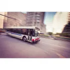 La imagen 2 de la Empresa TRANSPORTES SALGAR S.A Servicios de carga en Medellín ANT