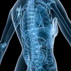 La imagen 5 de la Empresa UNIDAD MÚSCULO ESQUELÉTICA Ortopedia en Medellín ANT