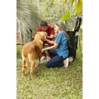 La imagen 5 de la Empresa VETERINARIA CORAZÓN DEL EJE Veterinario en Pereira RIS