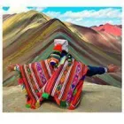 La imagen 1 de la Empresa VIAJES DE MUNDO ECONÓMICOS Y DIVERTIDOS Agencia de viaje en Medellín ANT