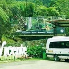 La imagen 5 de la Empresa VIATOUR Servicio de transporte en Armenia QUI