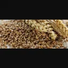 La imagen 3 de la Empresa VITAL GRAINS S.A.S. Tienda de frutos secos en Bogotá DC