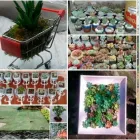 La imagen 2 de la Empresa VIVERO JUAN BONSAI Viveros en Envigado ANT