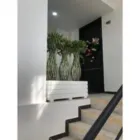 La imagen 1 de la Empresa VIVERO LA PALMA Viveros en Medellín ANT