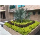 La imagen 4 de la Empresa VIVERO LA PALMA Viveros en Medellín ANT