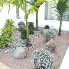 La imagen 2 de la Empresa VIVERO RAÍCES Viveros en Pereira RIS